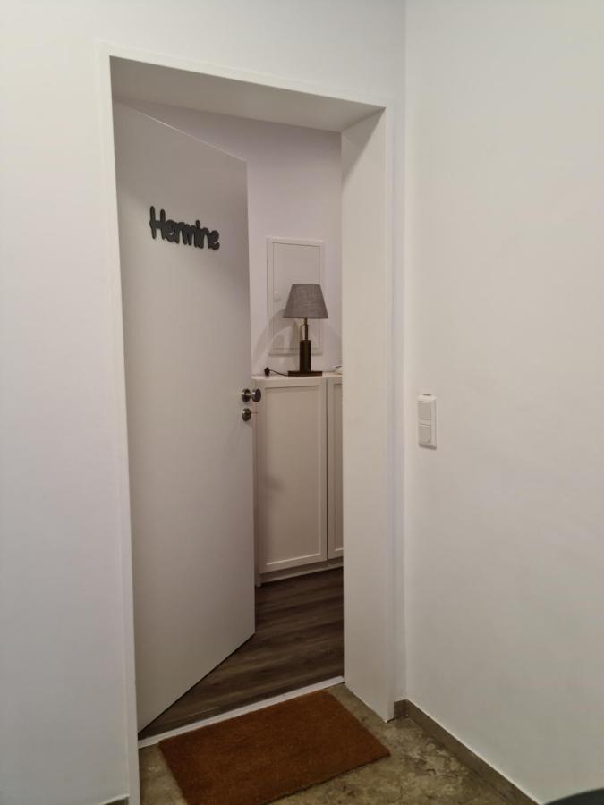 Pilgrims "Hermine" Fewo Mit 3 Schlafzimmern, Balkon, Fast Internet Brilon Exterior photo